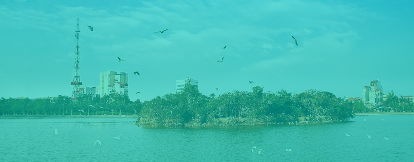 ảnh Đảo Cò Phố Hiến Hưng Yên Background