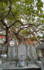 P. Hồng Châu